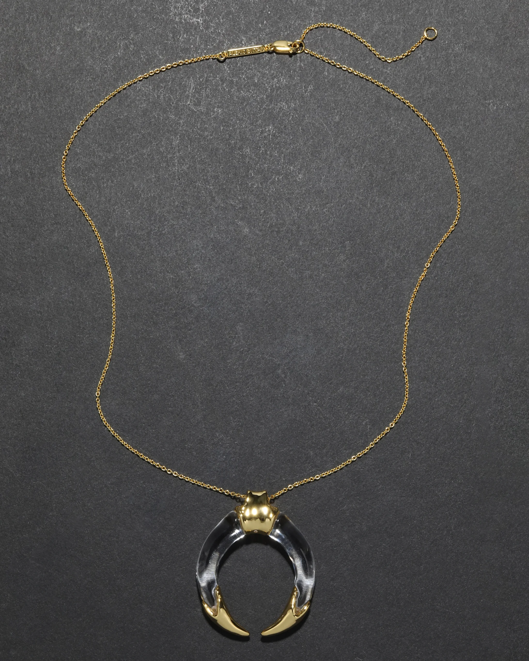 Gilded Tusk Lucite Necklace